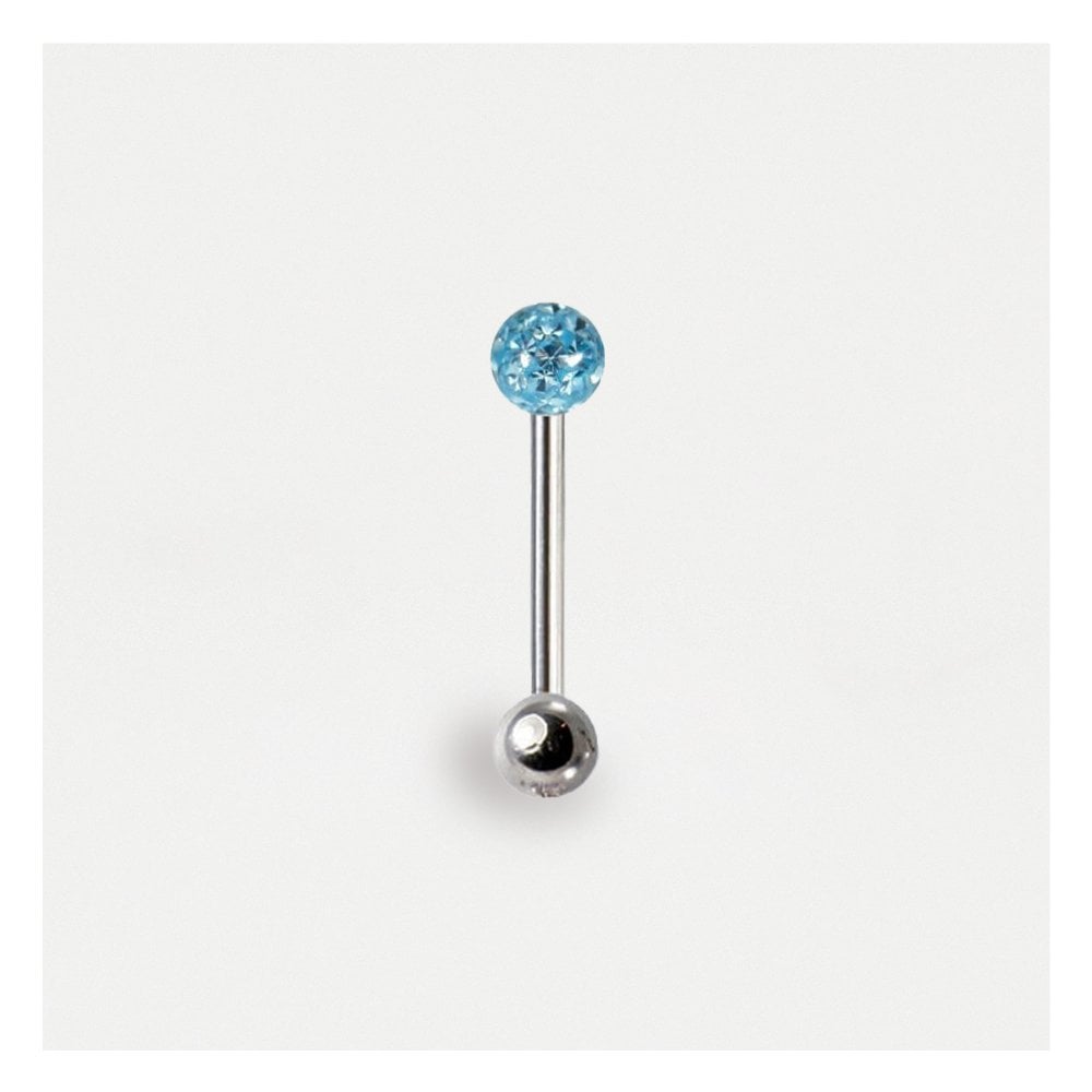 Steel Disco Straight Barbell